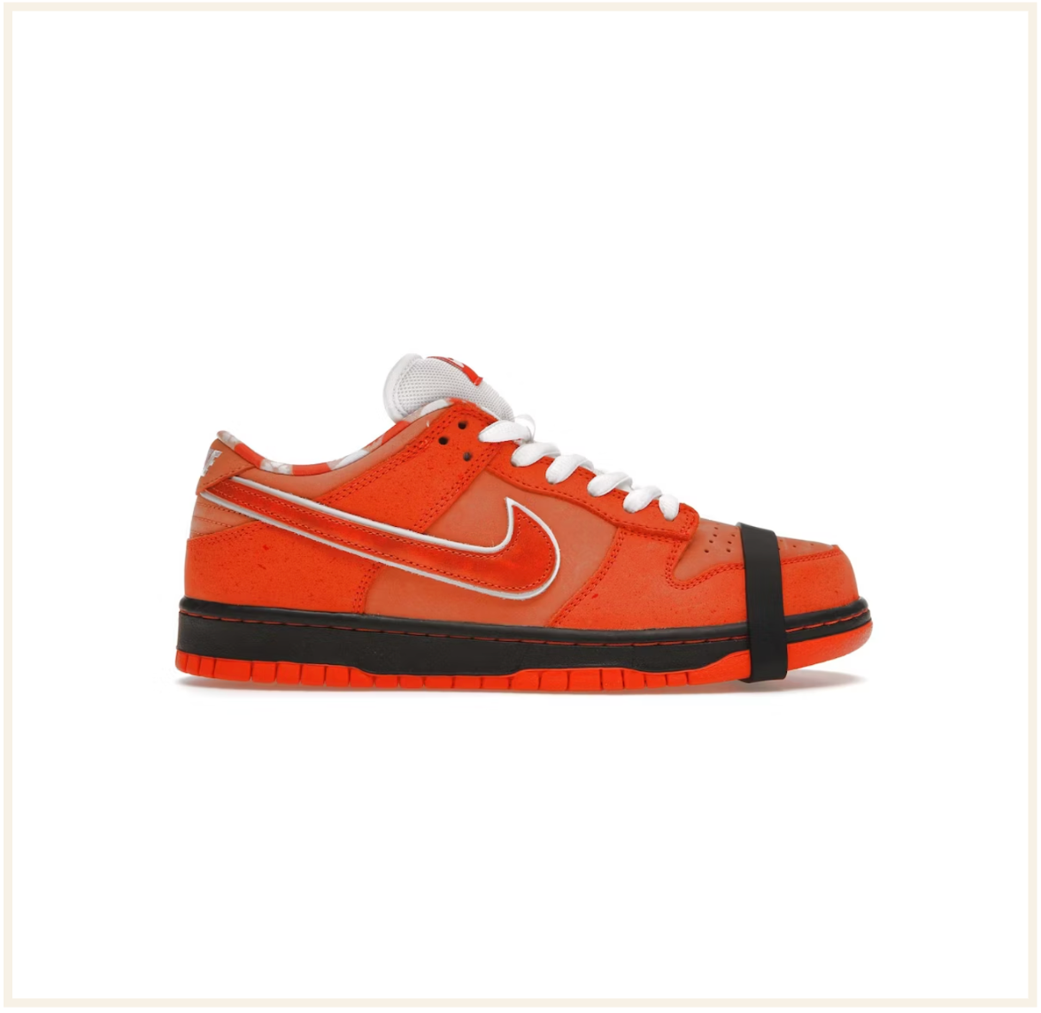 Orange lobster sb sales