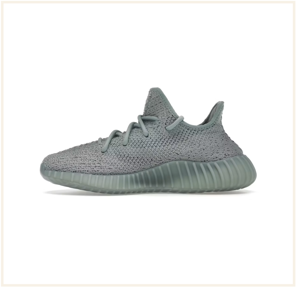 Adidas 350 discount uk tienda