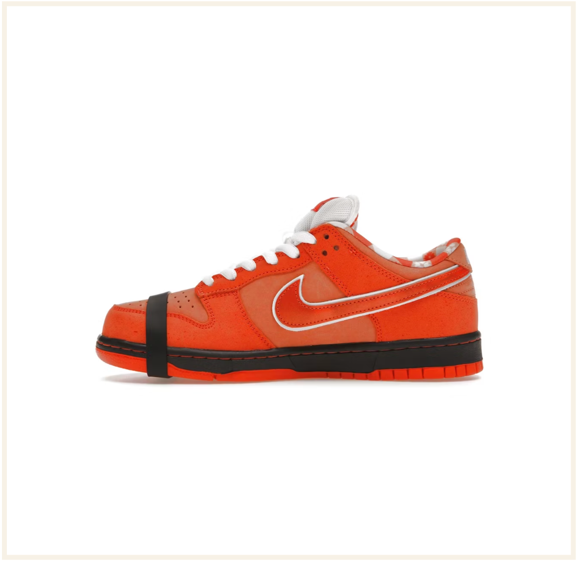 Orange lobster nike on sale sb