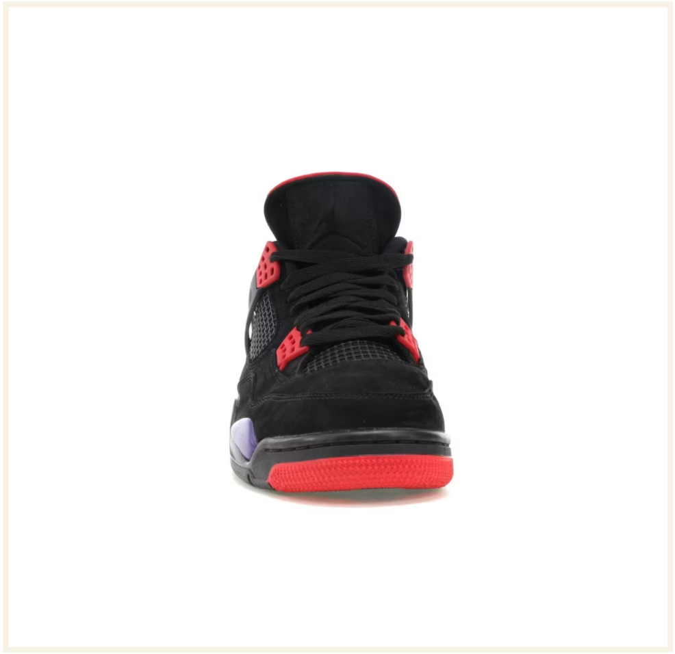 Jordan 4 hot sale retro raptors