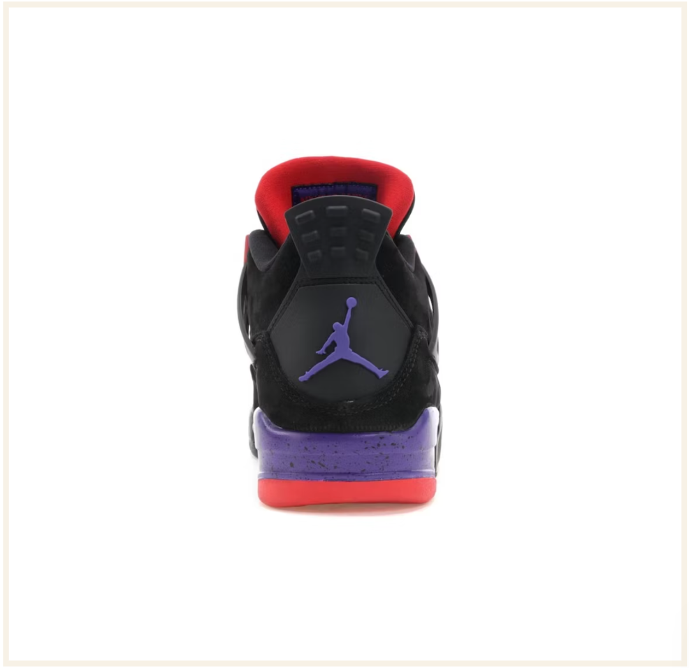 Jordan 4 best sale retro raptors